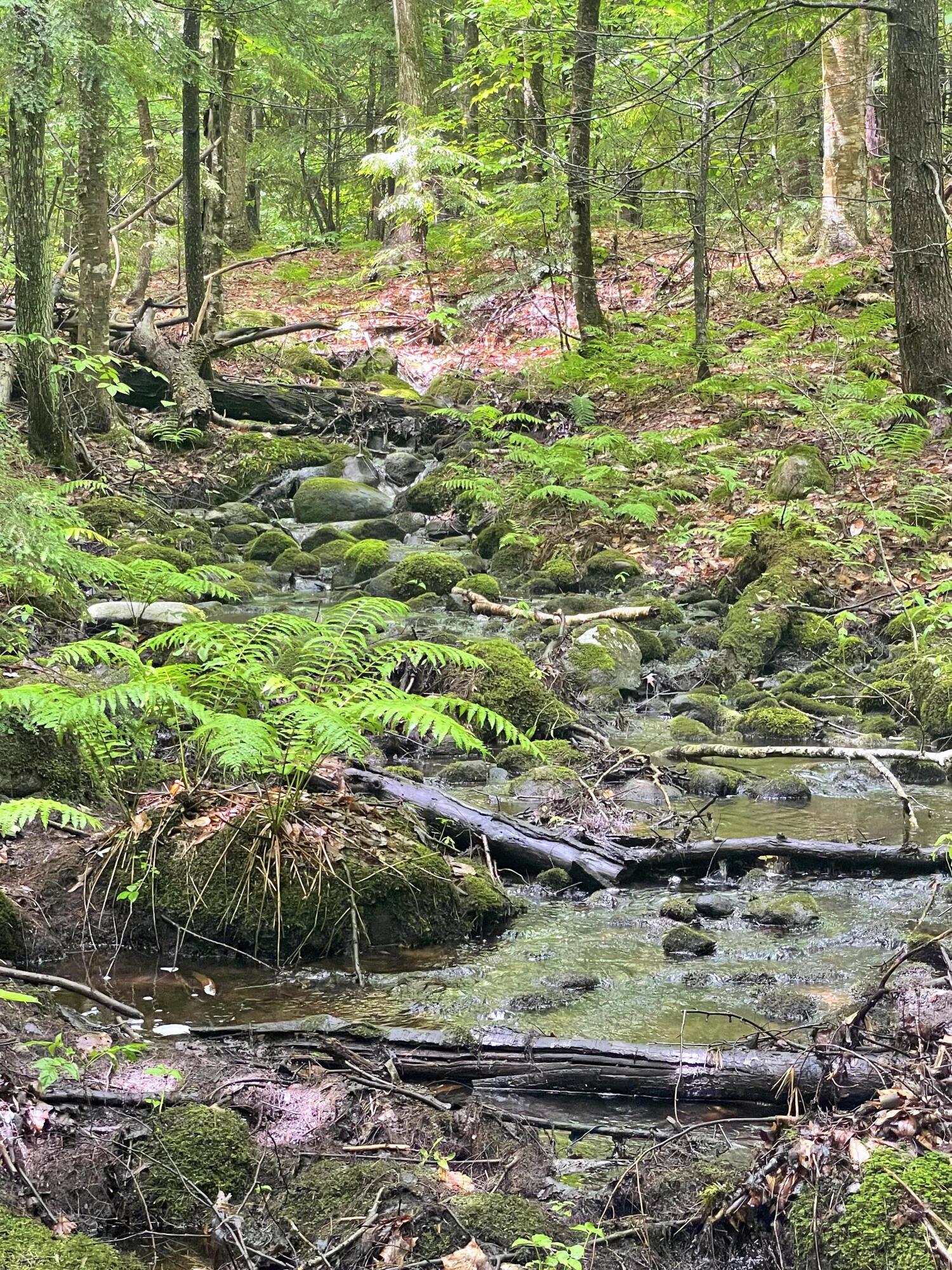 236 Us Route 2 E Wilton ME 04294