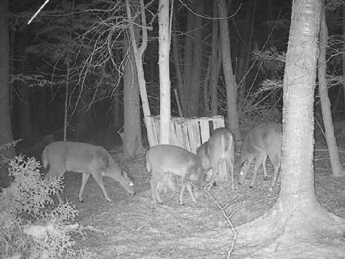 236 Us Route 2 E Wilton ME 04294