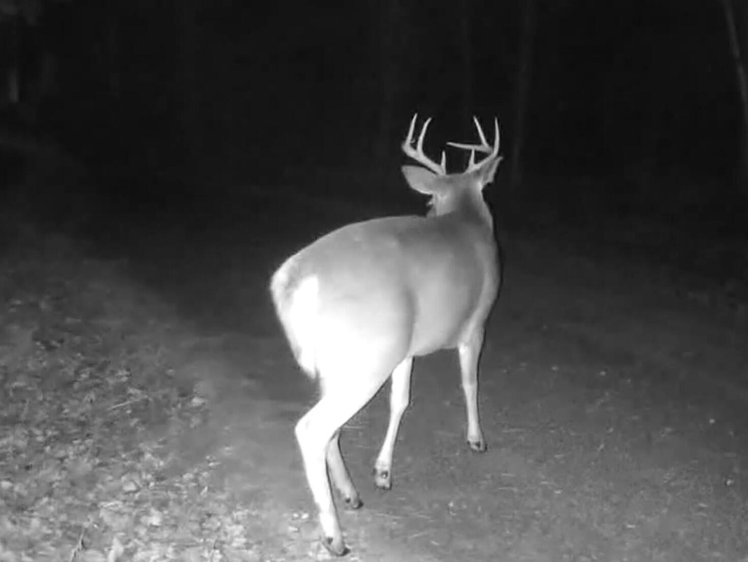 236 Us Route 2 E Wilton ME 04294