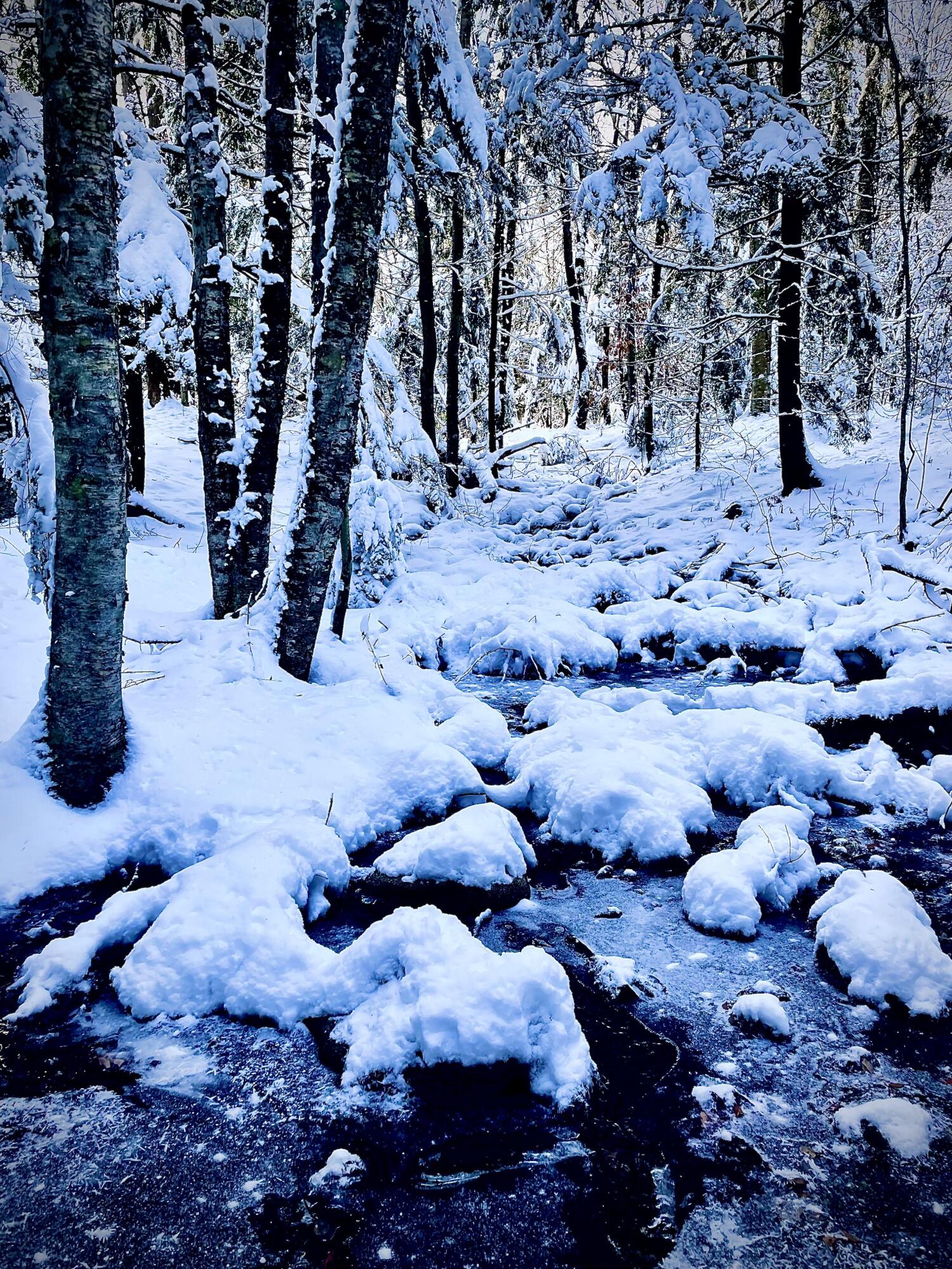 236 Us Route 2 E Wilton ME 04294