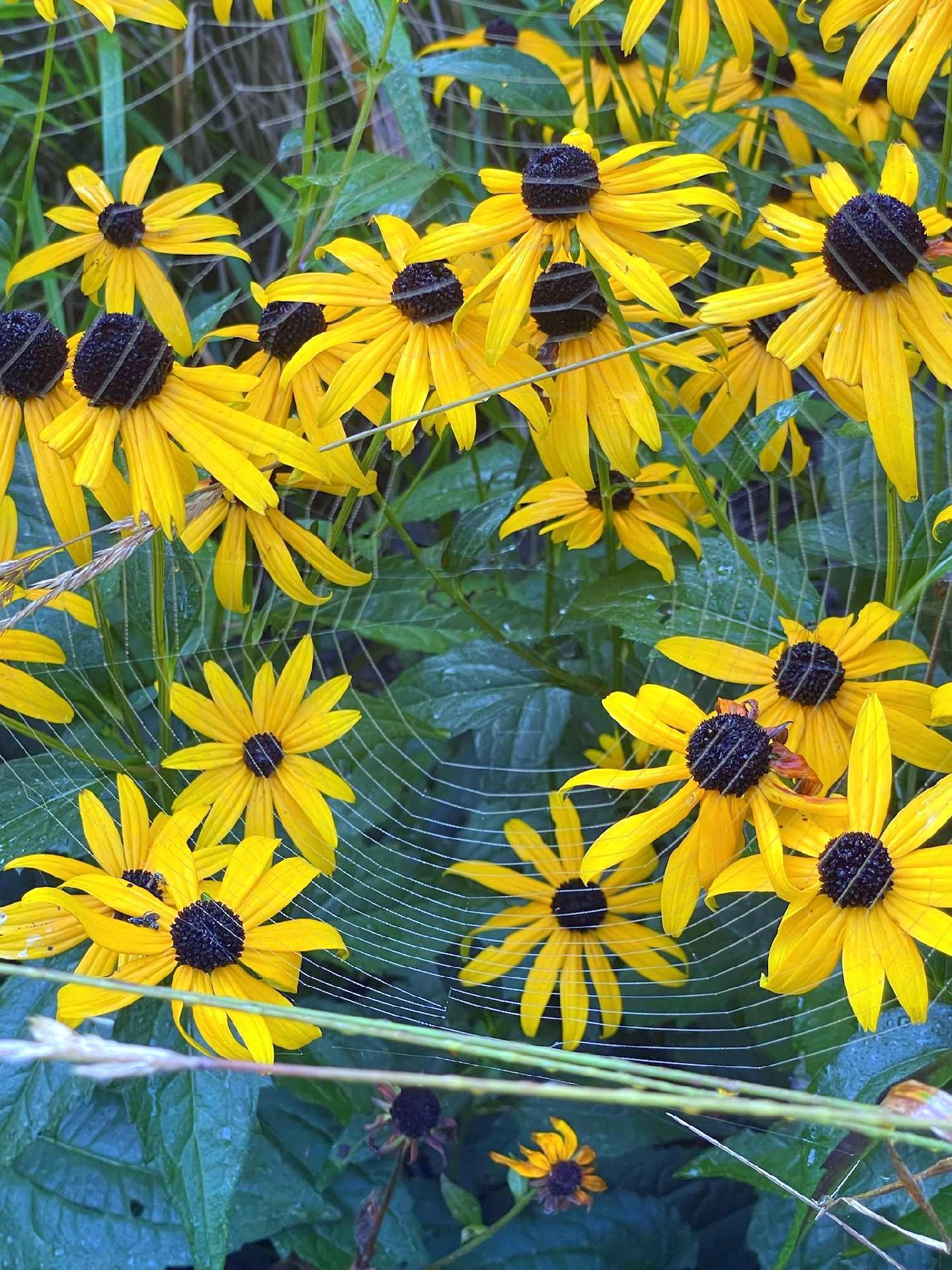 236 Us Route 2 E Wilton ME 04294