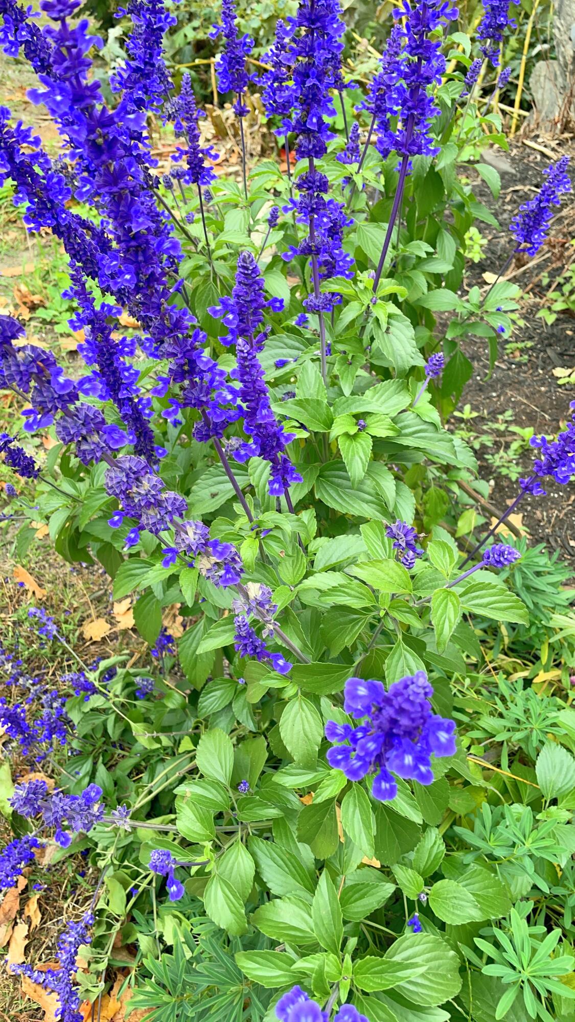 236 Us Route 2 E Wilton ME 04294