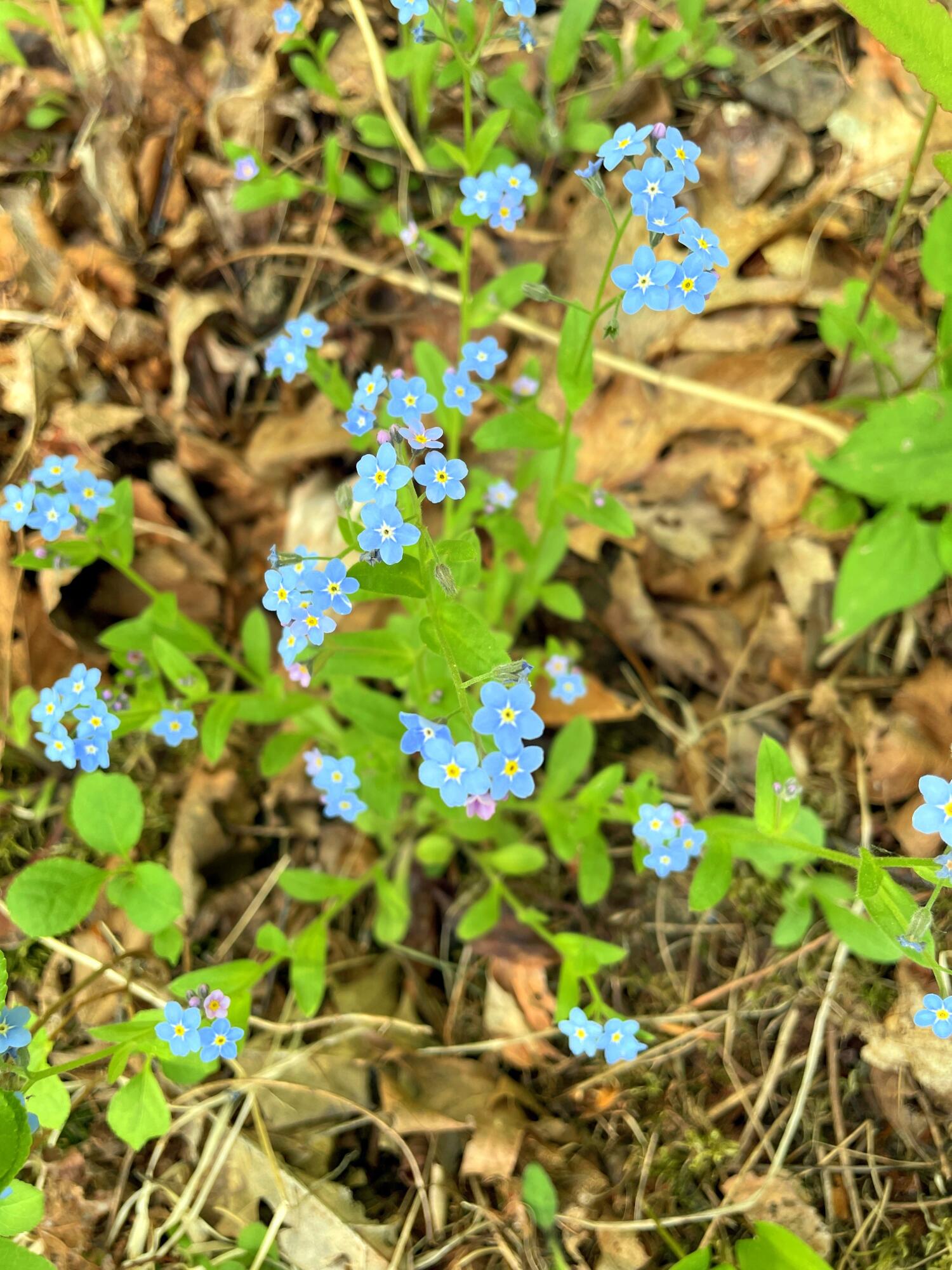 236 Us Route 2 E Wilton ME 04294