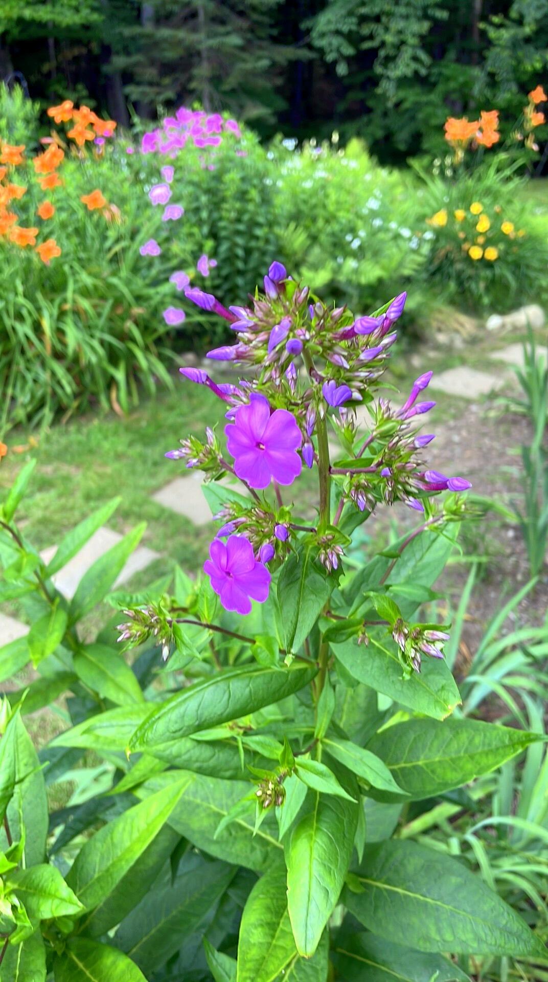 236 Us Route 2 E Wilton ME 04294