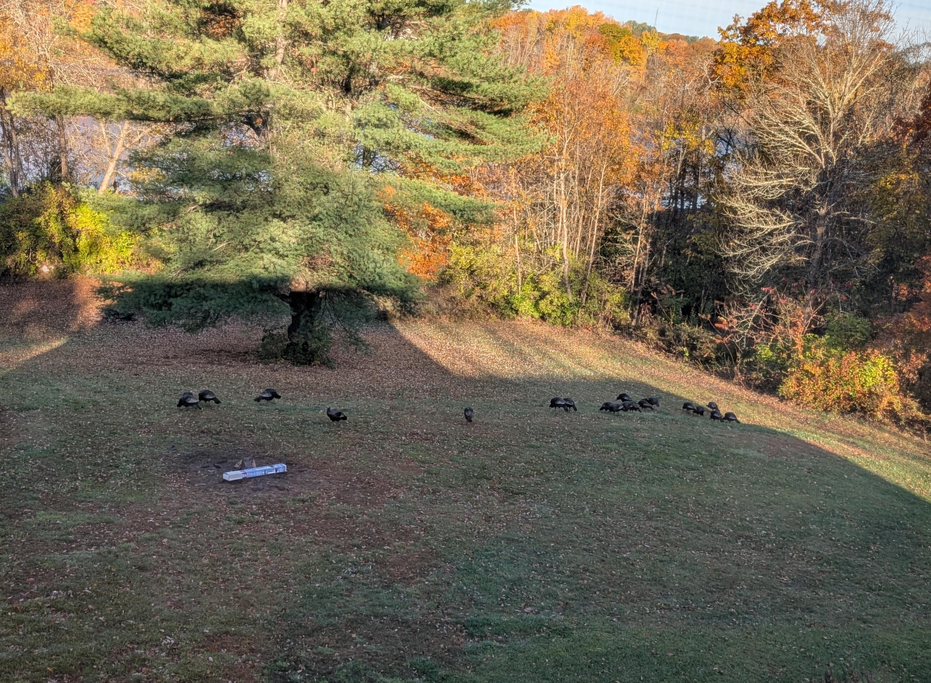 654 Riverside Drive Eddington ME 04428