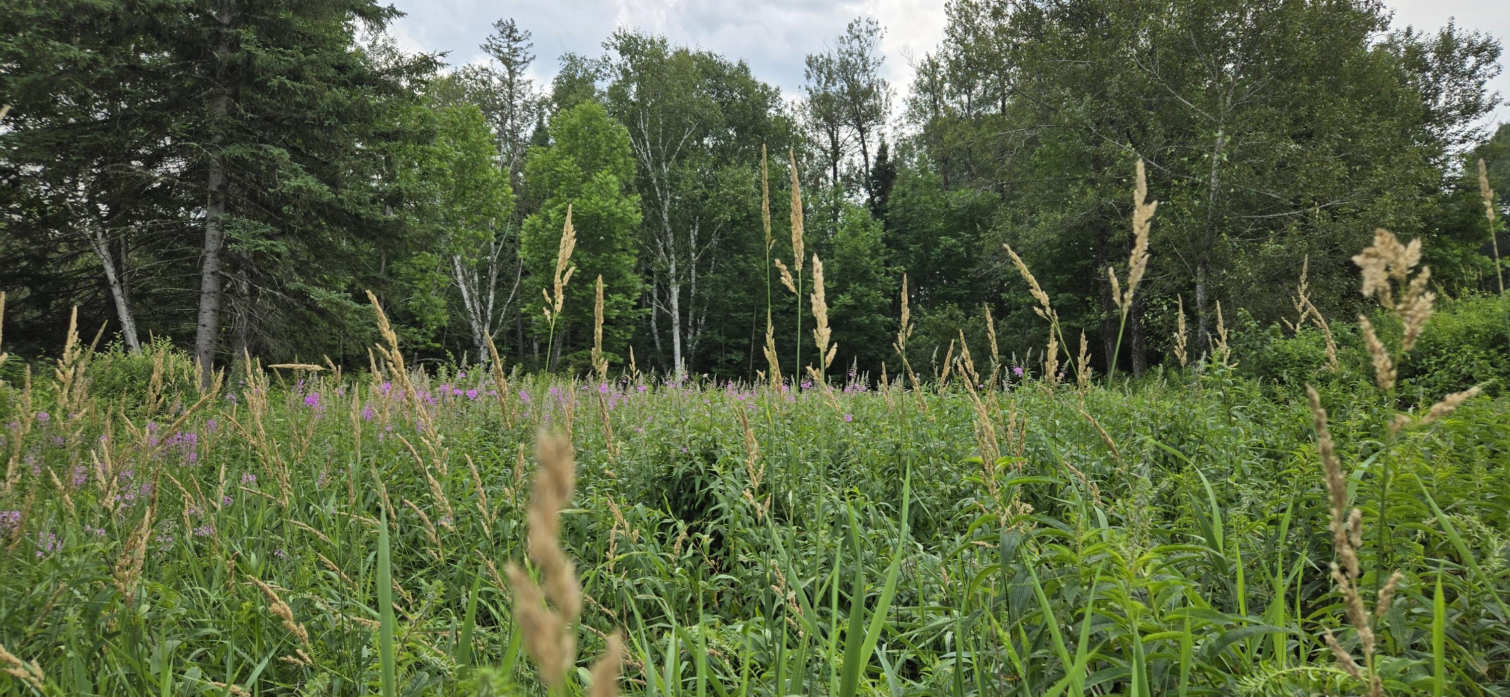 858 Allagash Road Allagash ME 04774