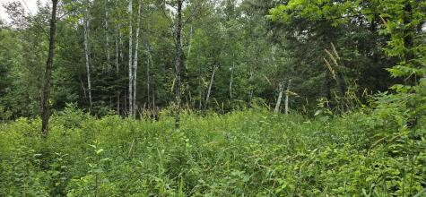 858 Allagash Road Allagash ME 04774