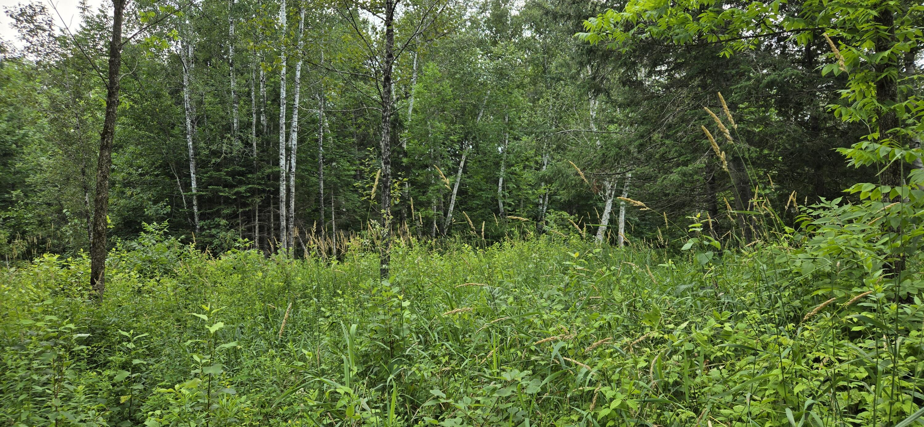 858 Allagash Road Allagash ME 04774