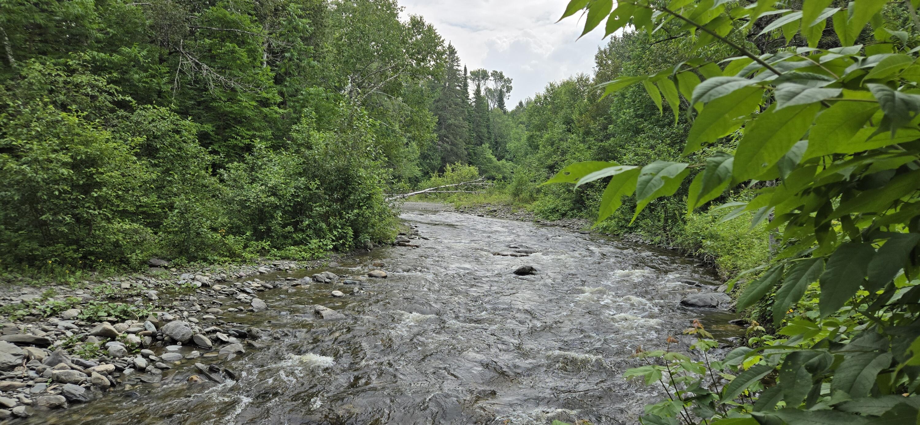 858 Allagash Road Allagash ME 04774