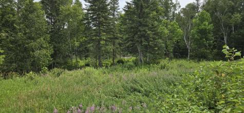 858 Allagash Road Allagash ME 04774