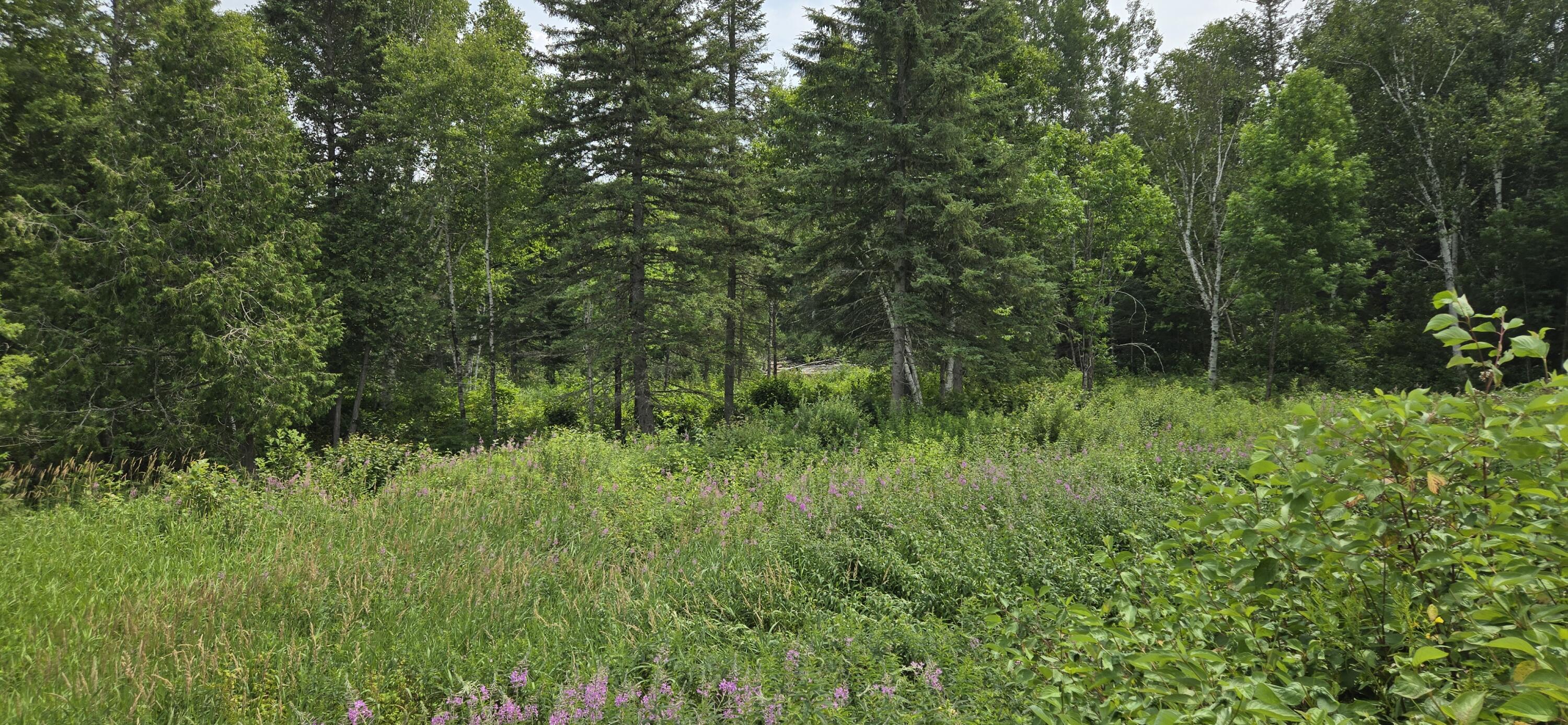 858 Allagash Road Allagash ME 04774