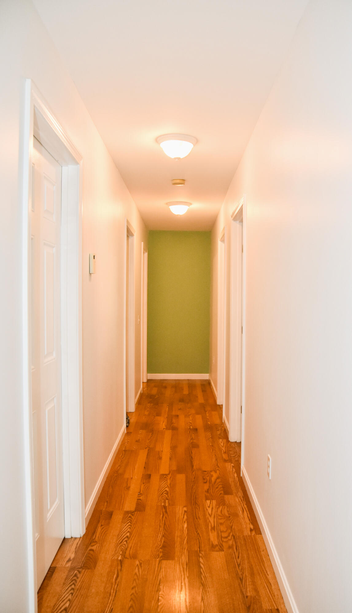 15 Good Heart Lane Orrington ME 04474