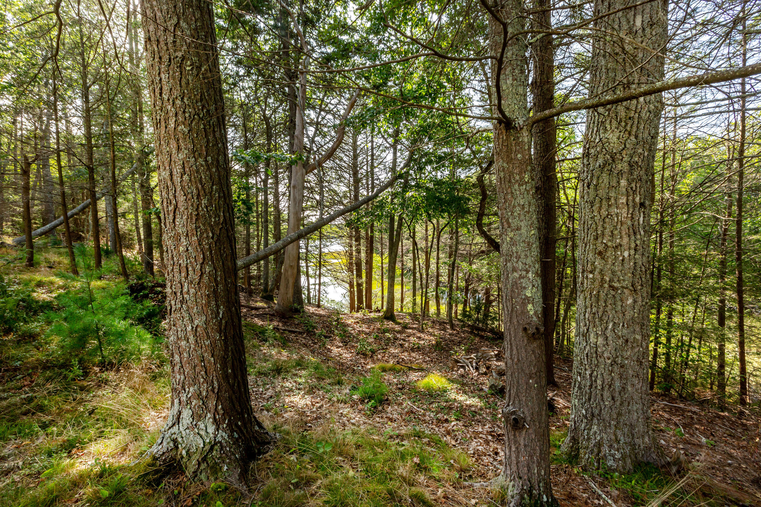 437 Barley Neck Road Woolwich ME 04579