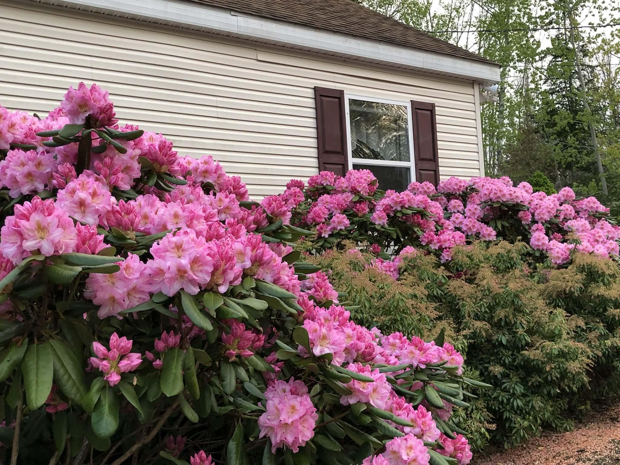 407 Waldoboro Road Friendship ME 04547