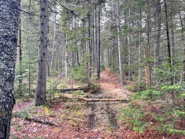 407 Waldoboro Road Friendship ME 04547
