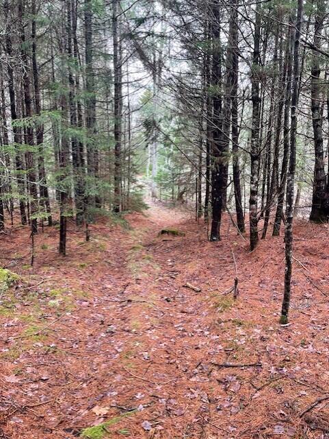 407 Waldoboro Road Friendship ME 04547