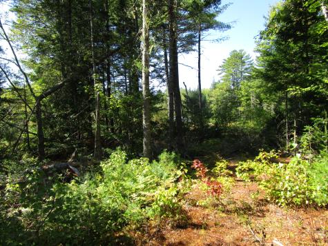 Lot 8a N North Howland Road Maxfield ME 04448