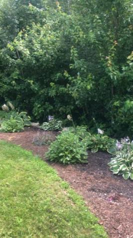 137 Branch Pond Road Ellsworth ME 04605