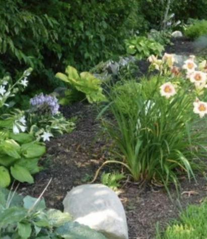 137 Branch Pond Road Ellsworth ME 04605