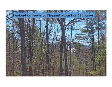 40 Wildhaven Road Bridgton ME 04009