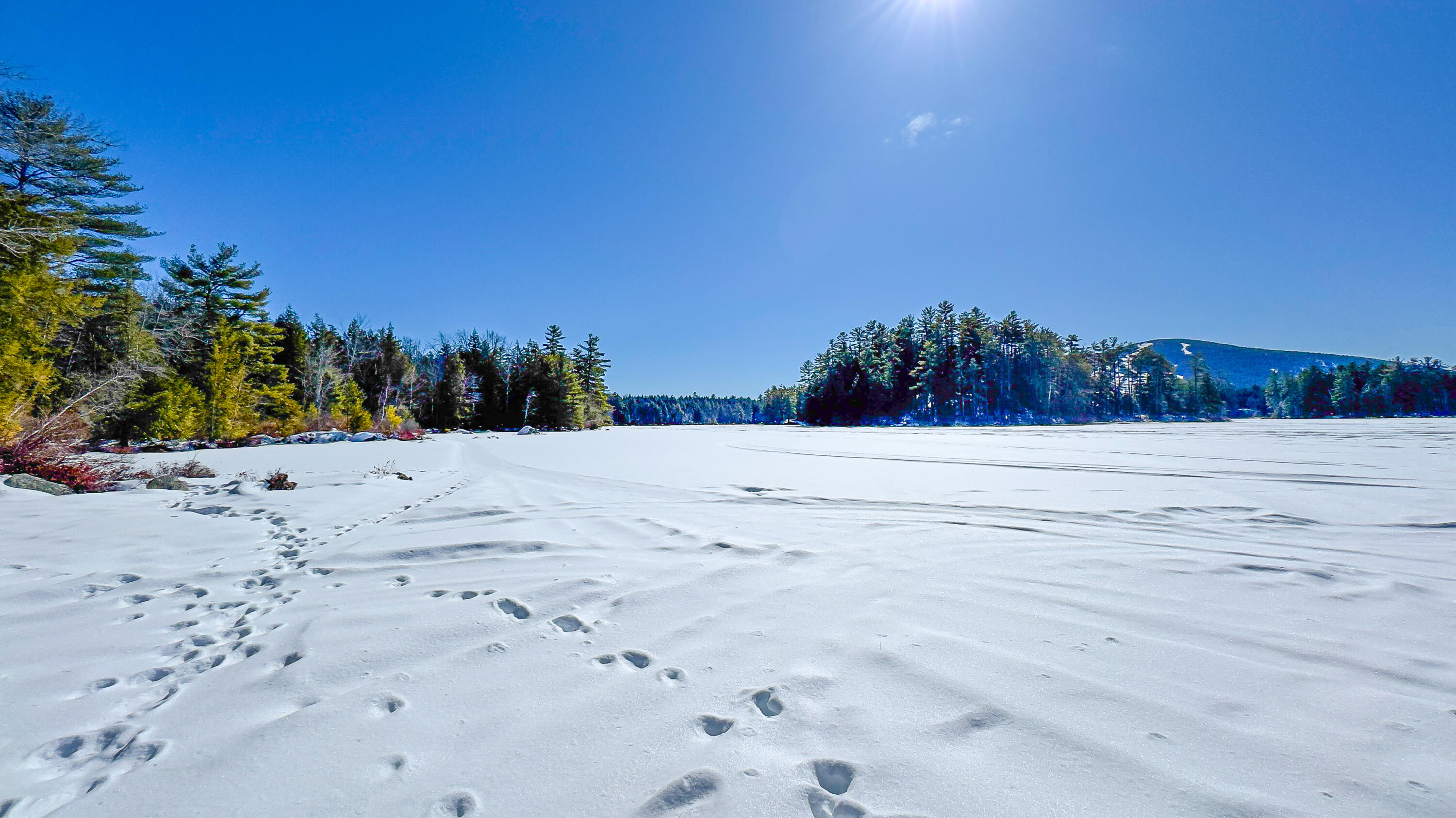 40 Wildhaven Road Bridgton ME 04009