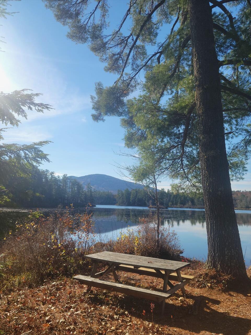 40 Wildhaven Road Bridgton ME 04009