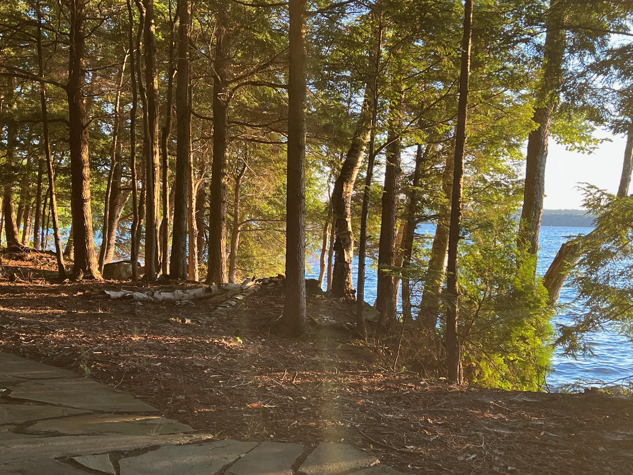 37 Parkhill Point Road Belgrade ME 04917