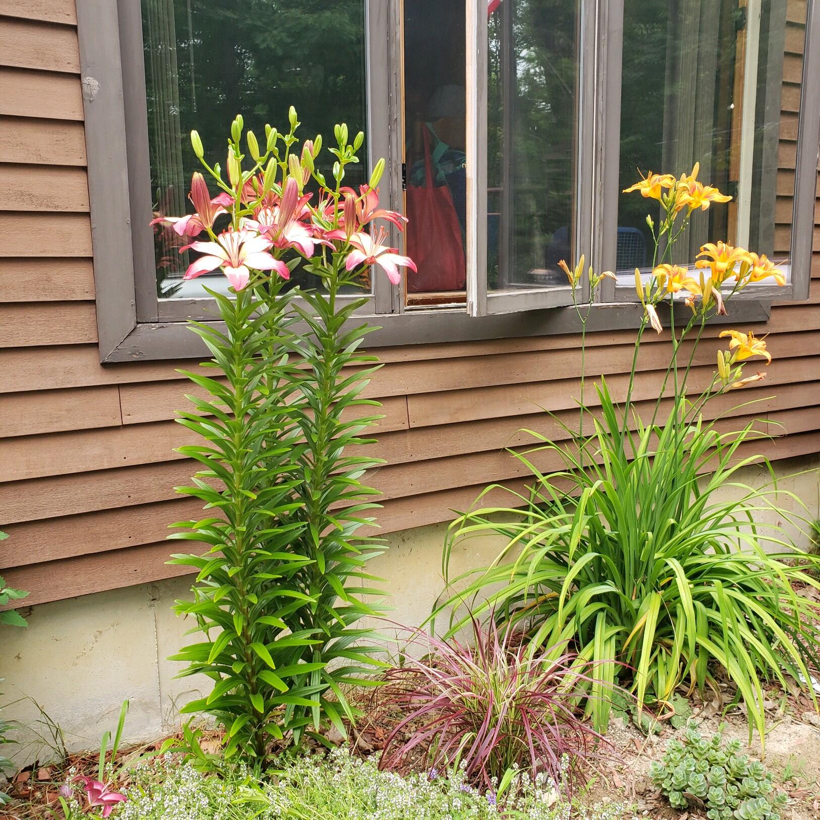 108 Hart Road Warren ME 04864