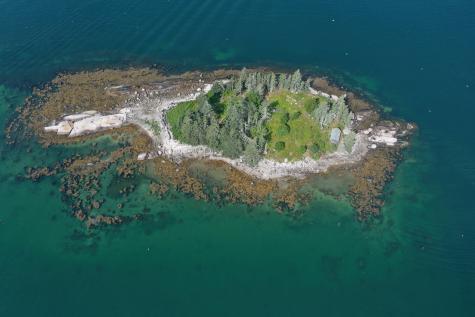 Tbd Burying Island Vinalhaven ME 04863