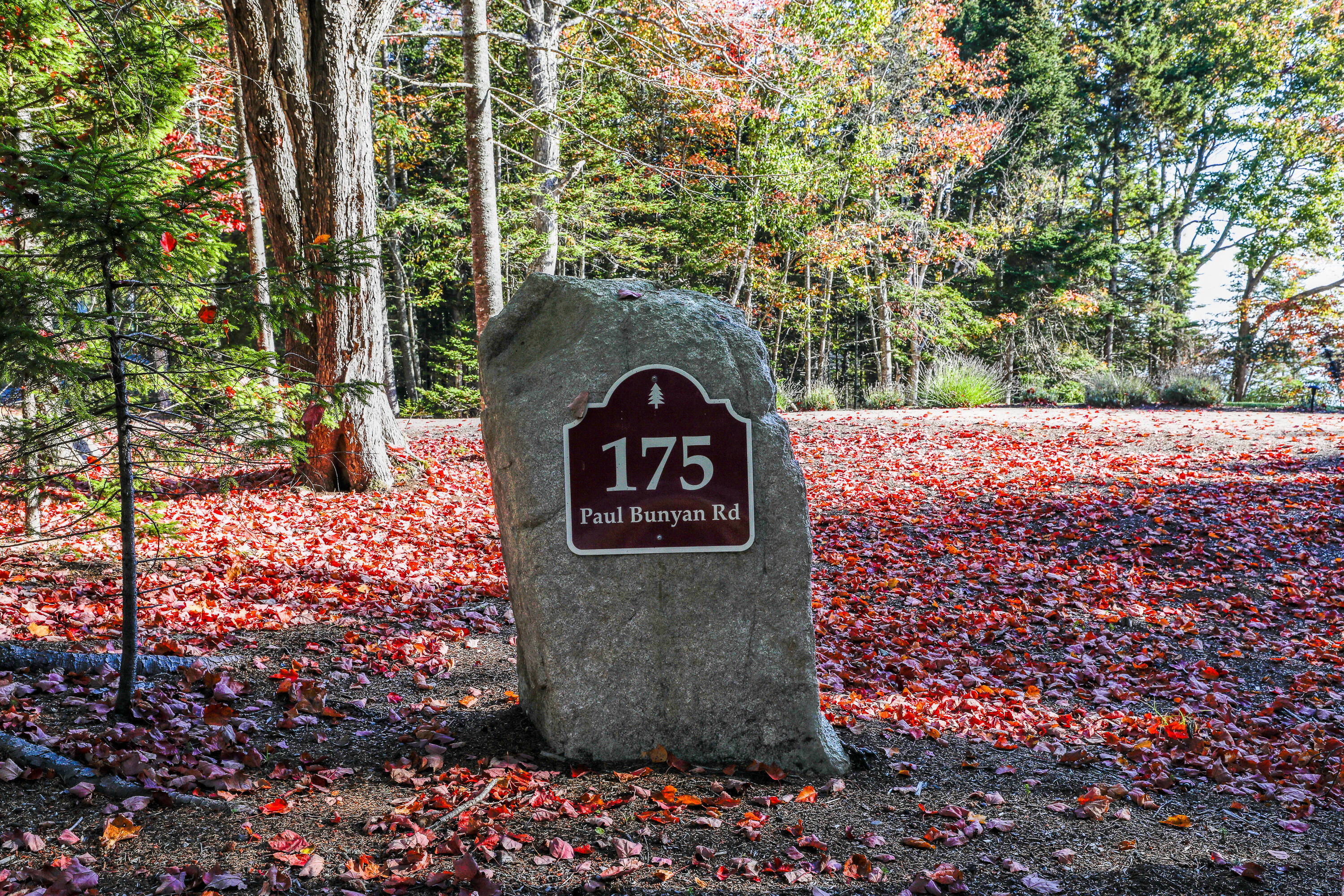 175 Paul Bunyan Road Gouldsboro ME 04607