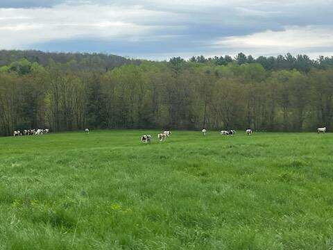 414 Farmington Falls Road Farmington ME 04938