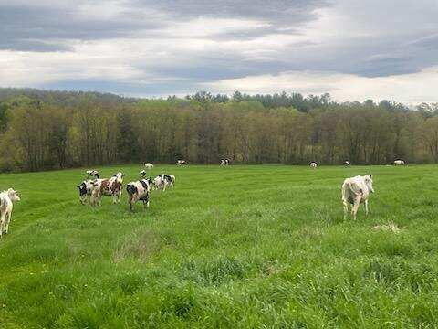 414 Farmington Falls Road Farmington ME 04938