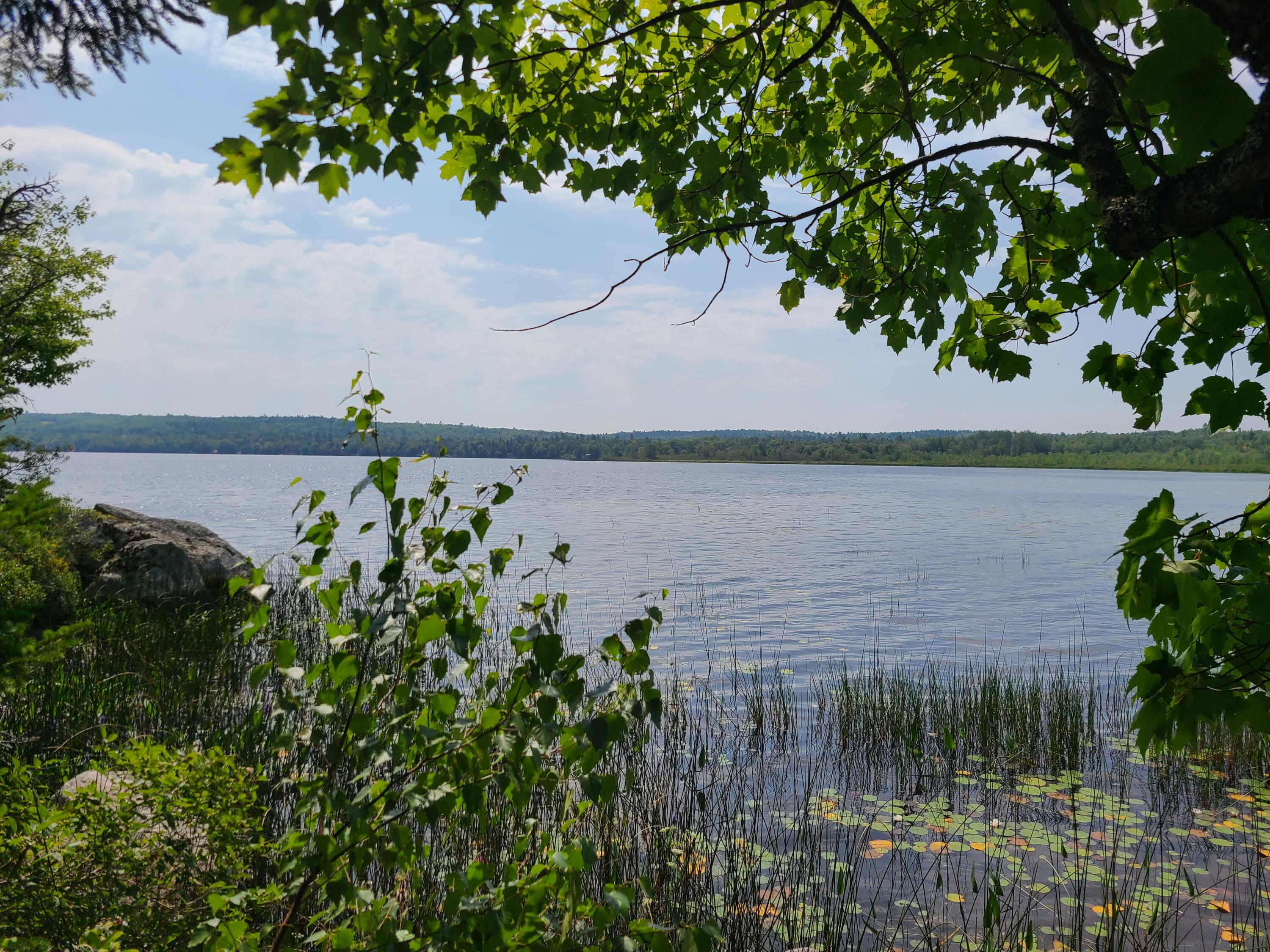 1235 Ayers Junction Road Charlotte ME 04666