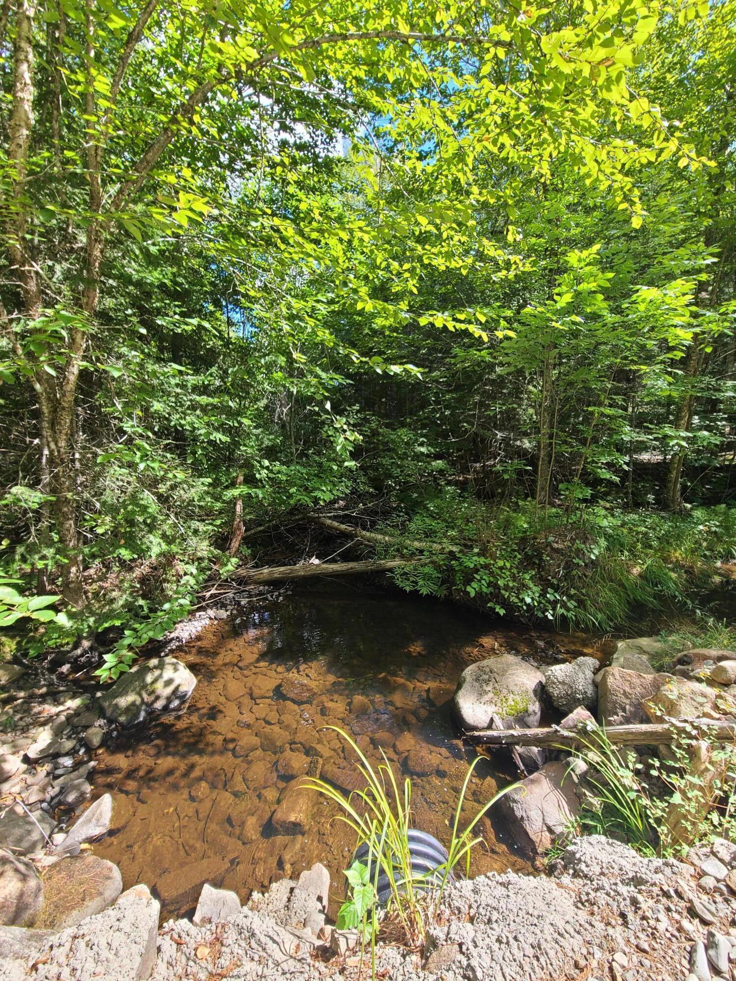 1235 Ayers Junction Road Charlotte ME 04666