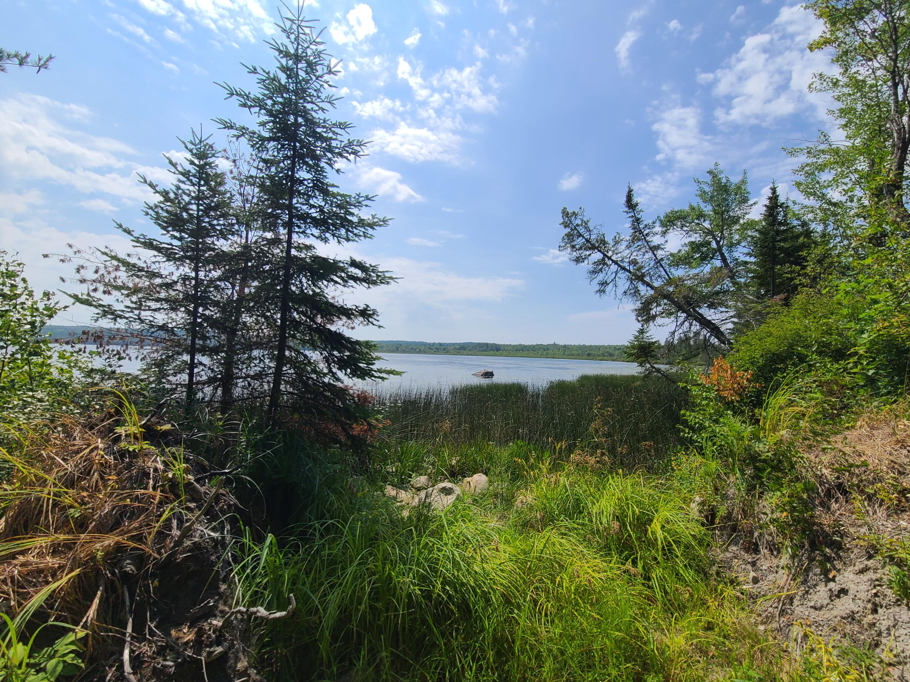 1235 Ayers Junction Road Charlotte ME 04666