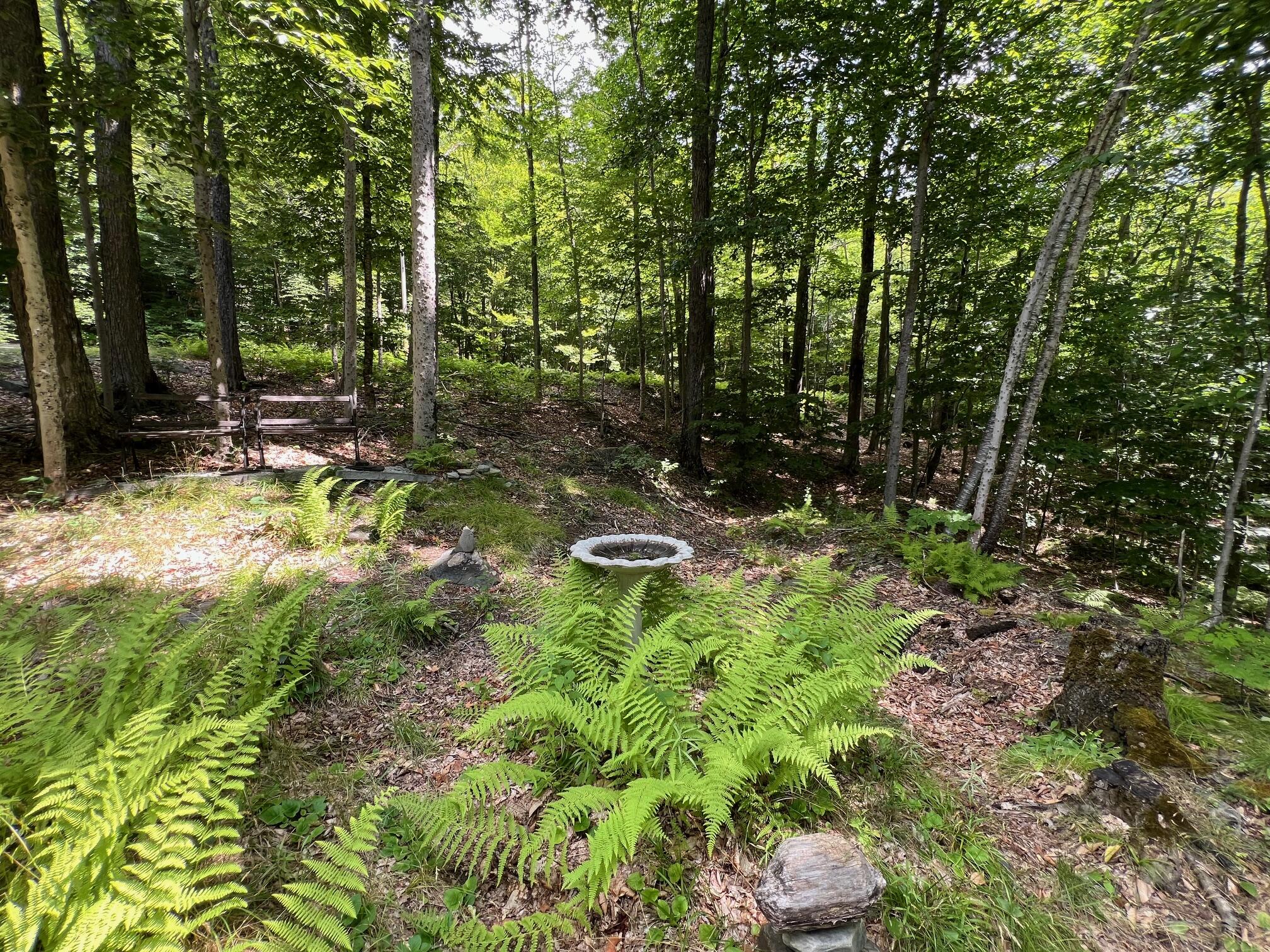 LOT4.31 30 Bodfish Valley Road Elliottsville Twp ME 04443