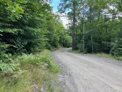 LOT4.31 30 Bodfish Valley Road Elliottsville Twp ME 04443