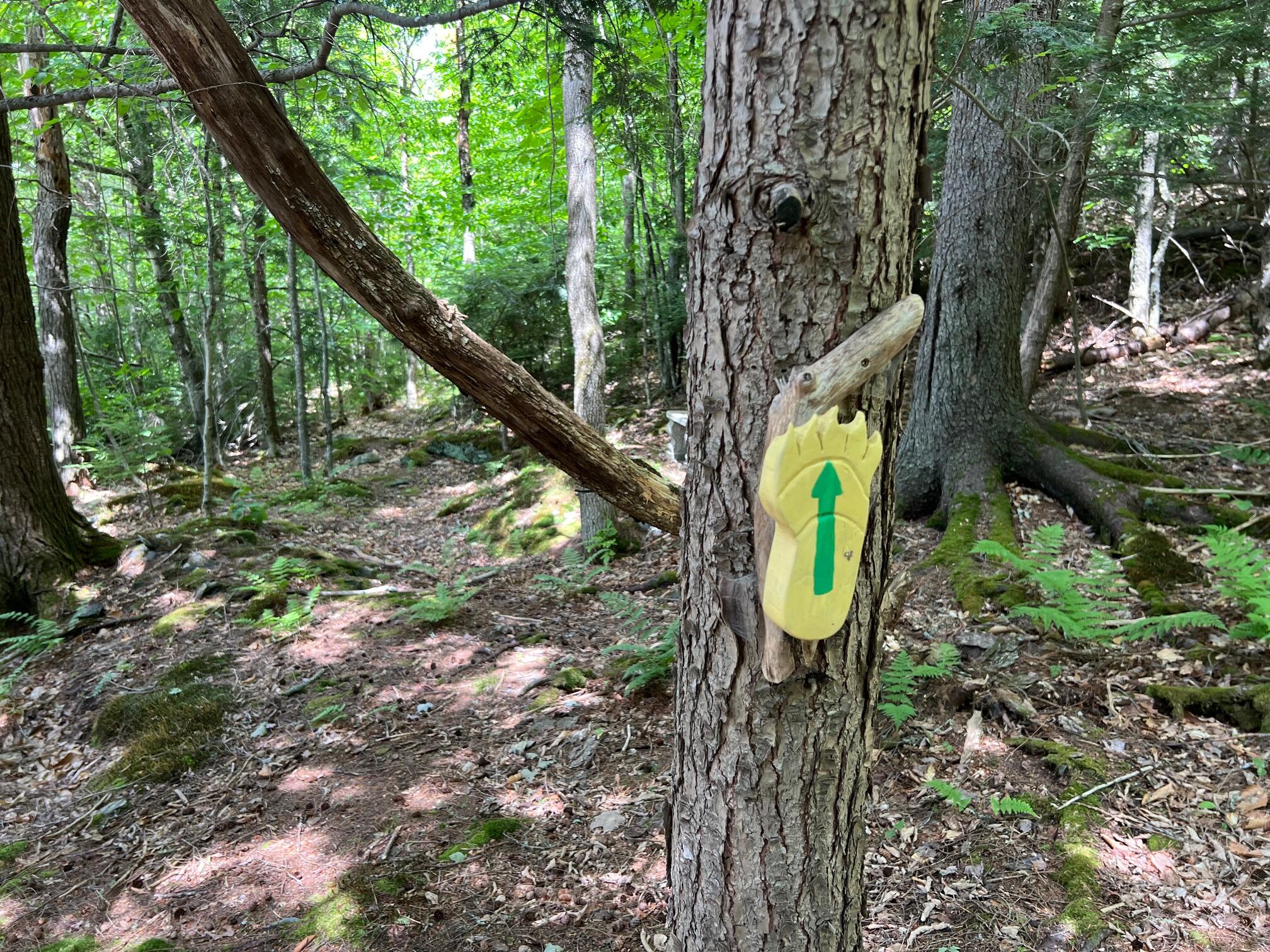 LOT4.31 30 Bodfish Valley Road Elliottsville Twp ME 04443