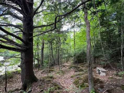 LOT4.31 30 Bodfish Valley Road Elliottsville Twp ME 04443