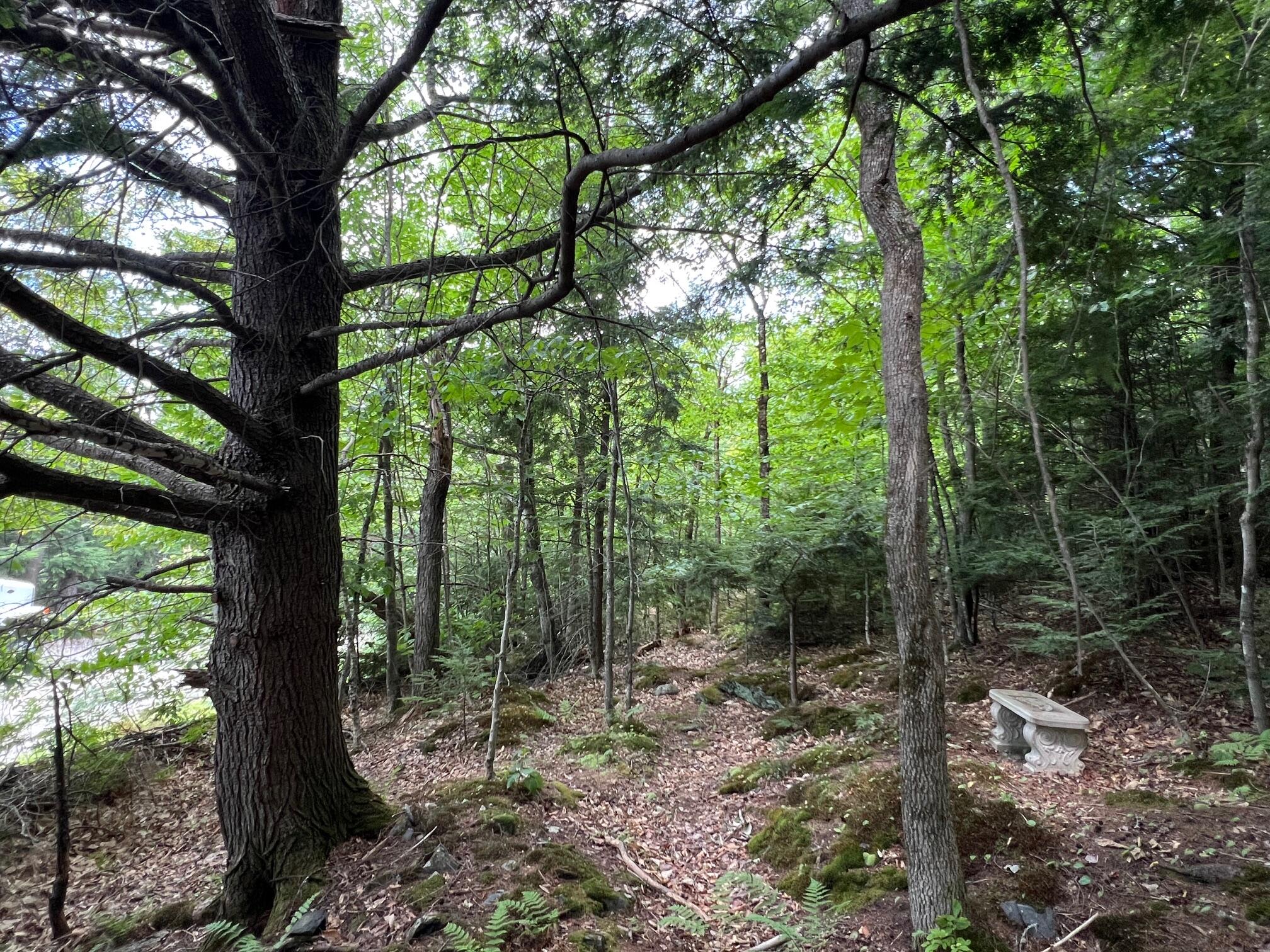 LOT4.31 30 Bodfish Valley Road Elliottsville Twp ME 04443