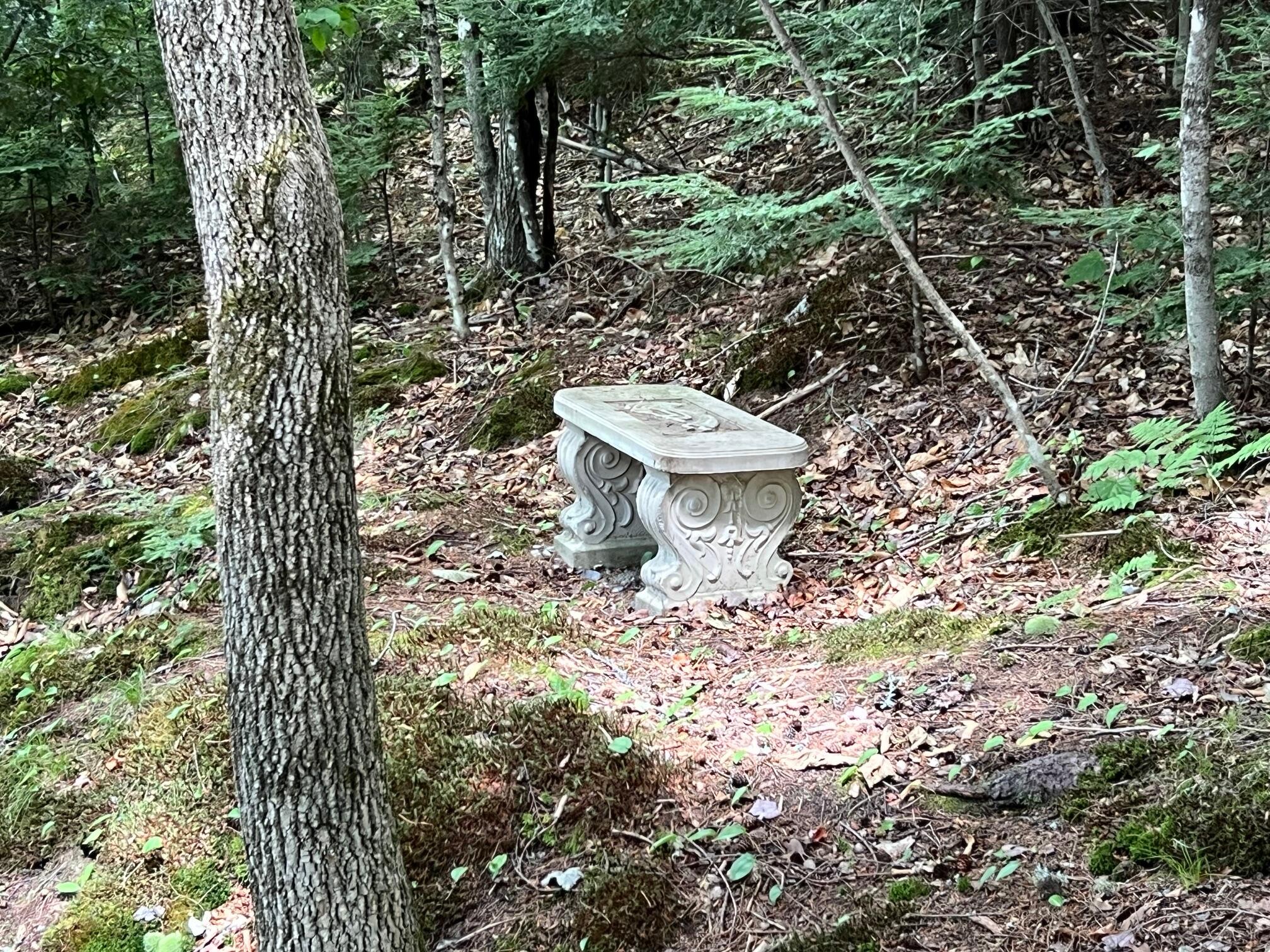 LOT4.31 30 Bodfish Valley Road Elliottsville Twp ME 04443