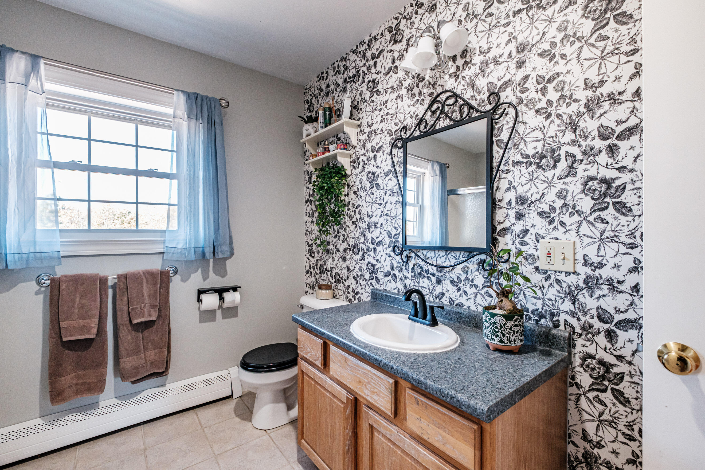 8 Mikes Way Limington ME 04049