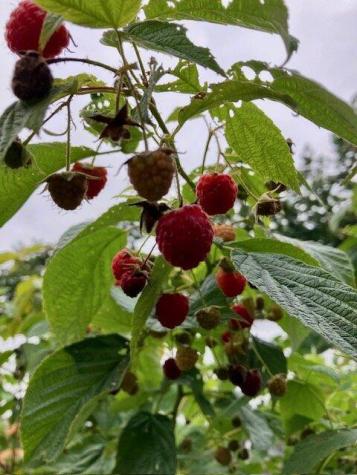 119 Fish Street Fryeburg ME 04037