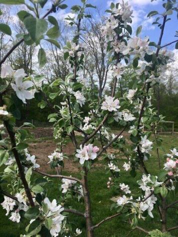 119 Fish Street Fryeburg ME 04037