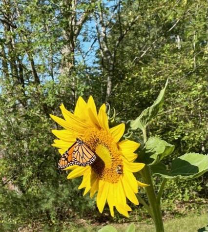 119 Fish Street Fryeburg ME 04037