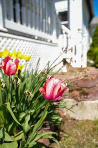 136 Lancaster Avenue Bangor ME 04401