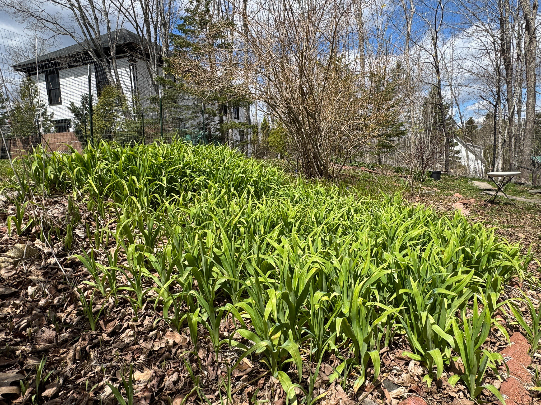 8 Leighton Point Road Pembroke ME 04666