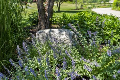 36 Wharf Road Boothbay ME 04537