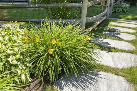 36 Wharf Road Boothbay ME 04537