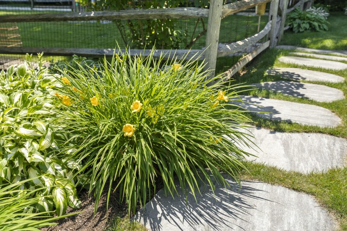 36 Wharf Road Boothbay ME 04537